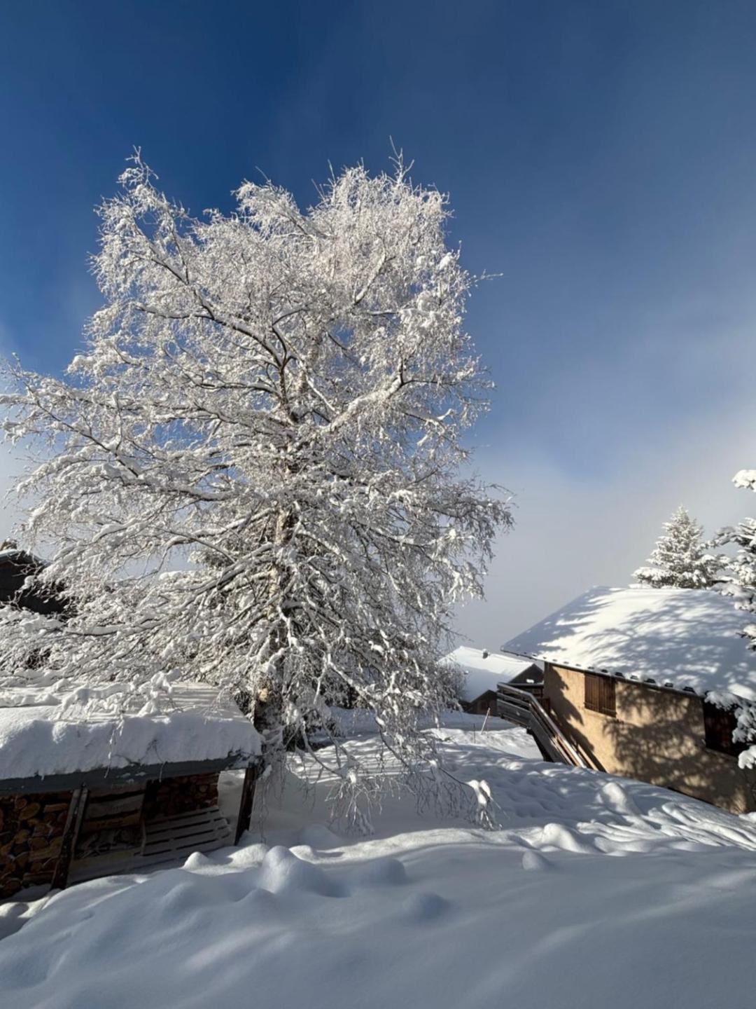 Chalet Rouge Ou Blanc Villard-Reculas Ngoại thất bức ảnh